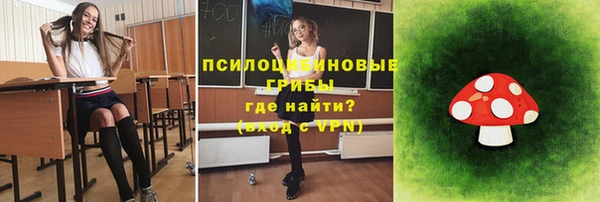 мдпв Гусев