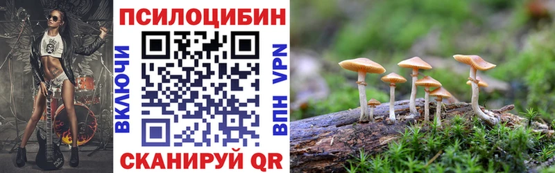 KRAKEN ссылки  Острогожск  Галлюциногенные грибы прущие грибы 